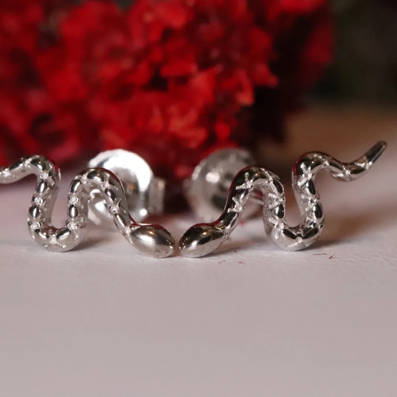 Darkness Warrior - Not all heroes need the spotlight - 10k gold snake earrings - Picture 4 of 5